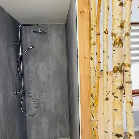 Gite Du Charme - Atypique Et Chaleureux Baldenheim Extérieur photo