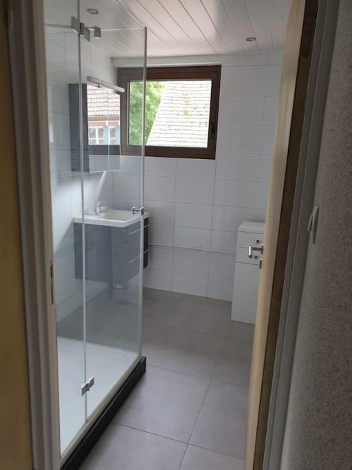 Appartement Du Charme - Atypique Et Chaleureux Baldenheim